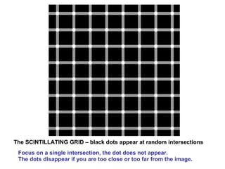 The SCINTILLATING GRID – black dots appear at random intersections Focus on a single intersection, the dot does not appear.  The dots disappear if you are too close or too far from the image.  