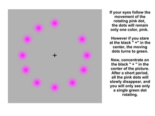 If your eyes follow the movement of the rotating pink dot,  the dots will remain only one color, pink.    However if you stare at the black " +" in the center, the moving dots turns to green. Now, concentrate on the black " + " in the center of the picture. After a short period, all the pink dots will slowly disappear, and you will only see only a single green dot rotating. 