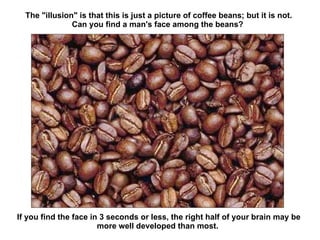 The "illusion" is that this is just a picture of coffee beans; but it is not. Can you find a man's face among the beans?  If you find the face in 3 seconds or less, the right half of your brain may be more well developed than most.  