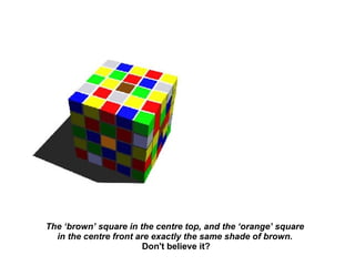 The ‘brown’ square in the centre top, and the ‘orange’ square  in the centre front are exactly the same shade of brown.   Don't believe it? 