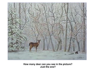How many deer can you see in the picture? Just the one? 