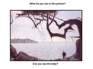 What do you see in this picture? Can you see the baby? 