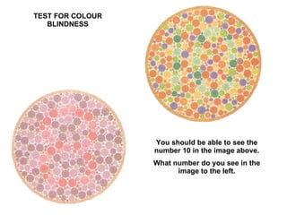 TEST FOR COLOUR BLINDNESS You should be able to see the number 10 in the image above. What number do you see in the image to the left. 