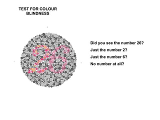 TEST FOR COLOUR BLINDNESS Did you see the number 26? Just the number 2? Just the number 6? No number at all? 