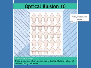 Optical illusion 10 
Dynamic construction of one 
arrow then reflections and 
What is the illusion? 
There are arrows which are oriented to the top. But the outlines of 
these arrows go to bottom. 
dilations 
 