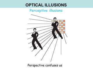 Visual Misperceptions Optical illusions and visual perception | PDF