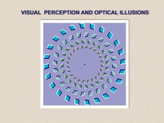 VISUAL PERCEPTION AND OPTICAL ILLUSIONS
 