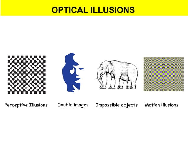 Optical illusions and visual perception