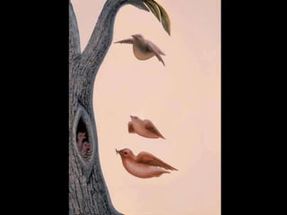 Optical illusions bk 1