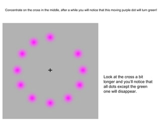 Concentrate on the cross in the middle, after a while you will notice that this moving purple dot will turn green! 
Look at the cross a bit 
longer and you‘ll notice that 
all dots except the green 
one will disappear. 
 