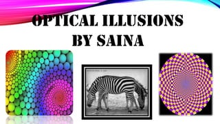 Optical Illusions
By saina

 