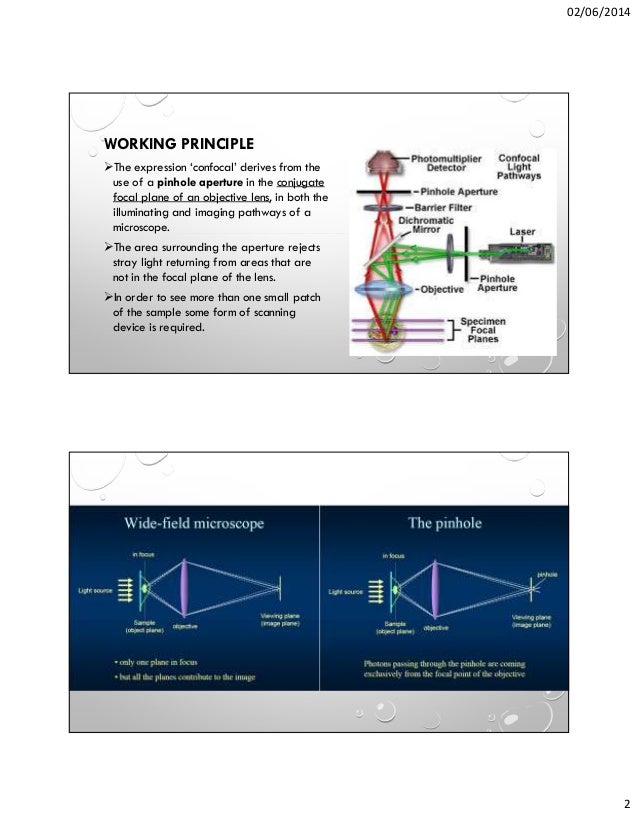 Optical imaging technique for dental biomaterials interfaces copy
