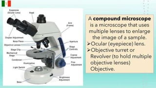 optical instrument. Science physics grades 1-4 | PPTX