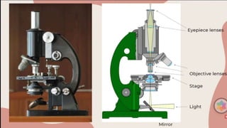 optical instrument. Science physics grades 1-4 | PPTX