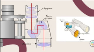 optical instrument. Science physics grades 1-4 | PPTX