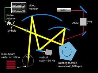 Specific Optical Rotation Cell Instrument Optical Instruments.ppt
