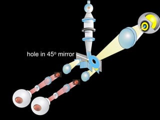 Optical Post 45 Rotation Optical Instruments.ppt