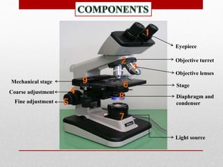 Optical microscope | PPTX