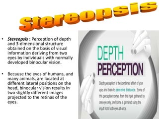 Stereoptic Process Optical phenomena | PPTX