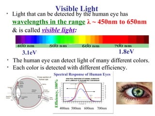 Visible Light
• Light that can be detected by the human eye has
wavelengths in the range λ ~ 450nm to 650nm
& is called visible light:
• The human eye can detect light of many different colors.
• Each color is detected with different efficiency.
3.1eV 1.8eV
Spectral Response of Human Eyes
Efficiency,100%
400nm 600nm 700nm500nm
 