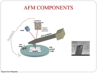 Figures from Wikipedia
AFM COMPONENTSfeedback
 