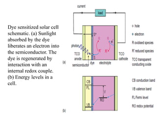 Dye sensitized solar cell
schematic. (a) Sunlight
absorbed by the dye
liberates an electron into
the semiconductor. The
dye is regenerated by
interaction with an
internal redox couple.
(b) Energy levels in a
cell.
 