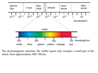The electromagnetic spectrum; the visible region only occupies a small part of the
whole, from approximately 400–700 nm.
 