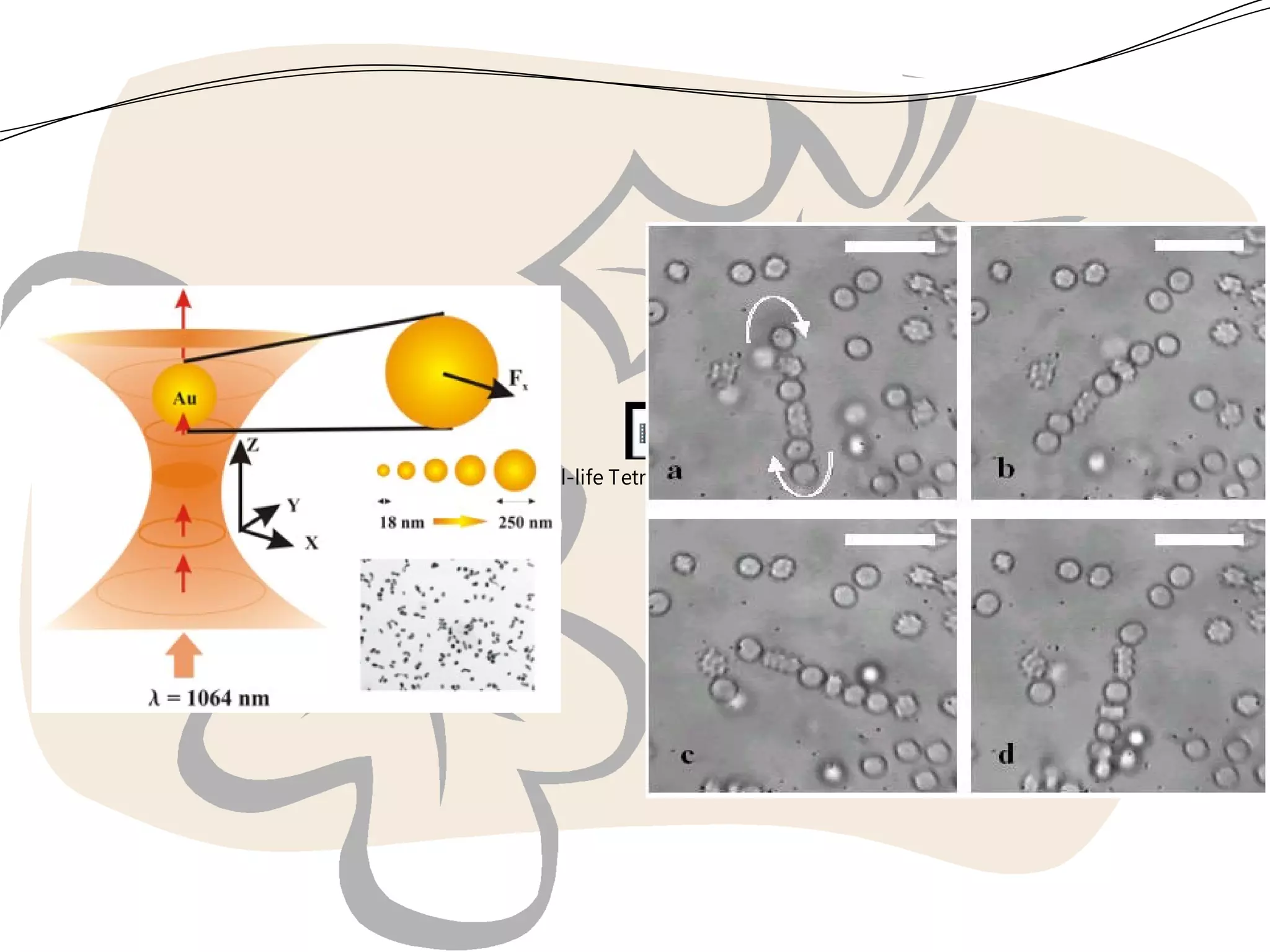 YouTube - real-life Tetris under a microscope.flv

 