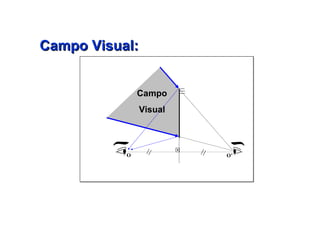 Campo Visual Campo Visual: 