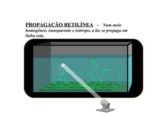 PROPAGAÇÃO RETILÍNEA   -  Num meio homogêneo, transparente e isótropo, a luz se propaga em linha reta. 