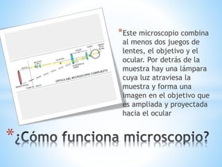 *Este microscopio combina
al menos dos juegos de
lentes, el objetivo y el
ocular. Por detrás de la
muestra hay una lámpara
cuya luz atraviesa la
muestra y forma una
imagen en el objetivo que
es ampliada y proyectada
hacia el ocular
*
 