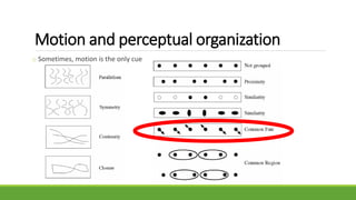 o Sometimes, motion is the only cue
Motion and perceptual organization
 