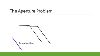 
The Aperture Problem
Actual motion
 