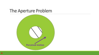 
The Aperture Problem
Perceived motion
 