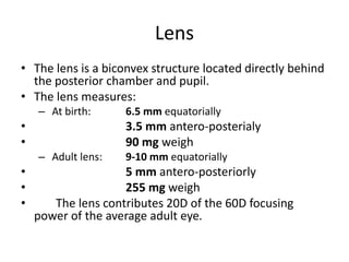 Optic, lens and iol