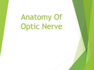 Anatomy Of
Optic Nerve
 