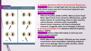 Optic Nerve and its patholgical processes.pptx