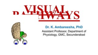 VISUAL
PATHWAYS
Dr. K. Ambareesha, PhD
Assistant Professor, Department of
Physiology, GMC, Secunderabad
 
