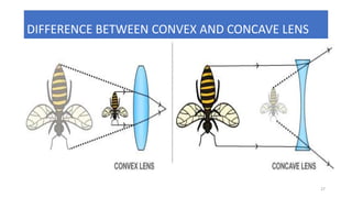 DIFFERENCE BETWEEN CONVEX AND CONCAVE LENS
27
 