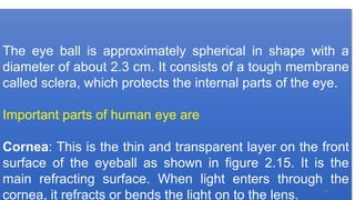 The eye ball is approximately spherical in shape with a
diameter of about 2.3 cm. It consists of a tough membrane
called sclera, which protects the internal parts of the eye.
Important parts of human eye are
Cornea: This is the thin and transparent layer on the front
surface of the eyeball as shown in figure 2.15. It is the
main refracting surface. When light enters through the
cornea, it refracts or bends the light on to the lens.
29
 