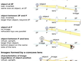 May 29, 2025 anjumk38dmc@gmail.com 137
 