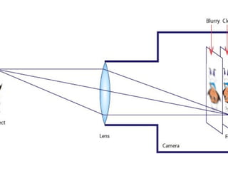 May 29, 2025 anjumk38dmc@gmail.com 139
 