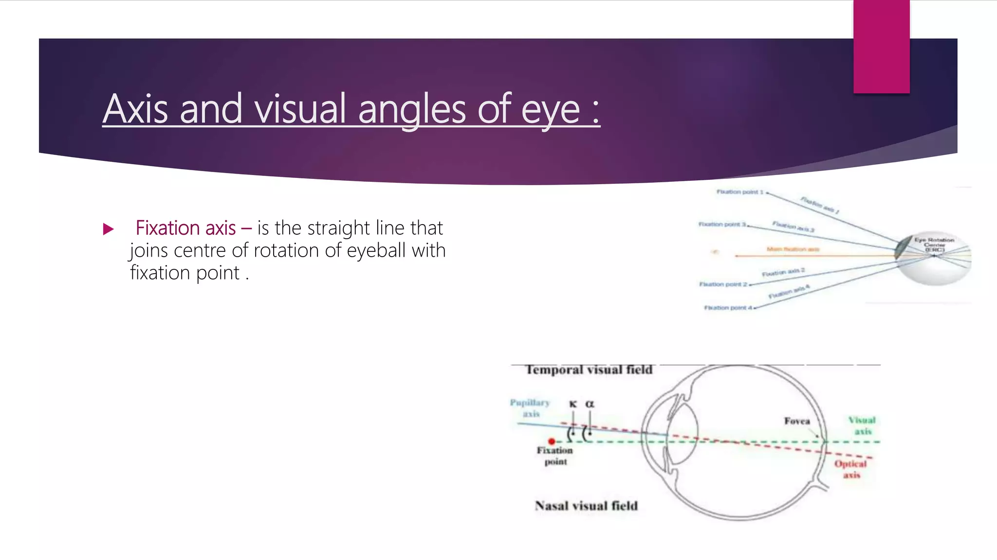 Axis and visual angles of eye :
 Fixation axis – is the straight line that
joins centre of rotation of eyeball with
fixation point .
 