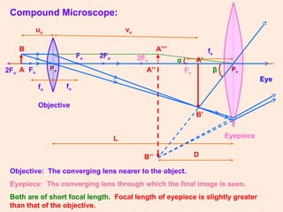 Compound Microscope:
• •
• • •
Fo
•
Fo
Fe
2Fe
2Fo
fo
fo
fe
Eye
A
B
A’
B’
A’’
B’’
Objective
Eyepiece
2Fo
Objective: The converging lens nearer to the object.
Eyepiece: The converging lens through which the final image is seen.
Both are of short focal length. Focal length of eyepiece is slightly greater
than that of the objective.
A’’’
α
β
D
L
vo
uo
Po Pe
 