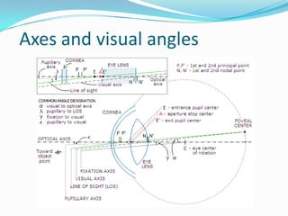 Axes and visual angles
 