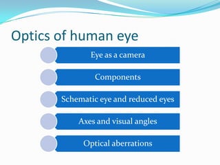 Optics of human eye
Eye as a camera
Components
Schematic eye and reduced eyes
Axes and visual angles
Optical aberrations
 