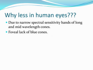Why less in human eyes???
 Due to narrow spectral sensitivity bands of long
and mid wavelength cones.
 Foveal lack of blue cones.
 