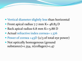  Vertical diameter slightly less than horizontal
 Front apical radius 7.7 mm K= 48.83 D
 Back apical radius 6.8 mm K=-5.88 D
 Actual refractive index cornea= 1.376
 Power of cornea +43D (2/3 of total eye power)
 Not optically homogenous (ground
substance)=1.354, n(collagen)=1.47
 