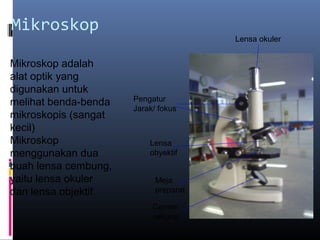 Mikroskop
Lensa okuler
Pengatur
Jarak/ fokus
Lensa
obyektif
Meja
preparat
Cermin
cekung
Mikroskop adalah
alat optik yang
digunakan untuk
melihat benda-benda
mikroskopis (sangat
kecil)
Mikroskop
menggunakan dua
buah lensa cembung,
yaitu lensa okuler
dan lensa objektif.
 