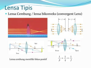 Lensa Tipis
 Lensa Cembung / lensa bikonveks (convergent Lens)
Lensa cembung memiliki fokus positif
 